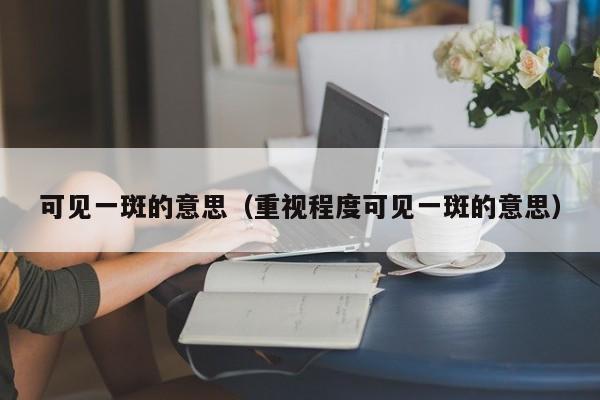 可见一斑的意思（重视程度可见一斑的意思）
