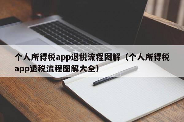 个人所得税app退税流程图解（个人所得税app退税流程图解大全）