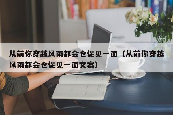 从前你穿越风雨都会仓促见一面（从前你穿越风雨都会仓促见一面文案）