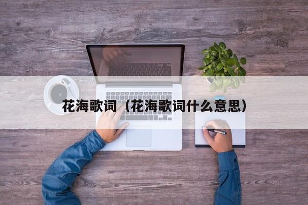 花海歌词（花海歌词什么意思）