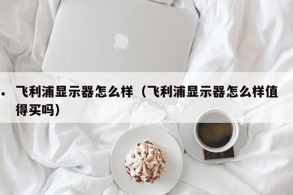 飞利浦显示器怎么样（飞利浦显示器怎么样值得买吗）