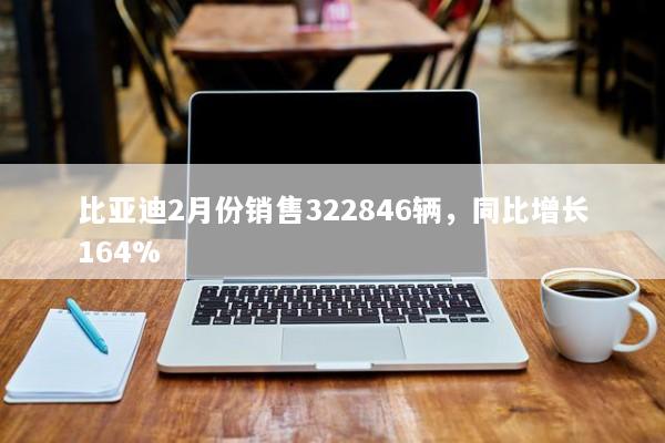 比亚迪2月份销售322846辆，同比增长164%