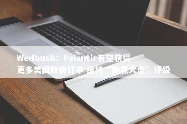 Wedbush：Palantir有望获得更多美国政府订单 维持“跑赢大盘”评级
