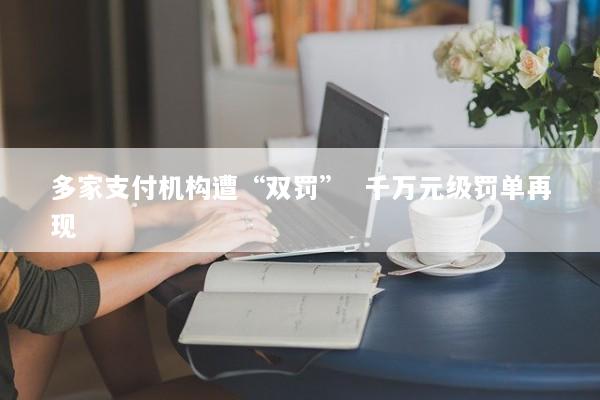 多家支付机构遭“双罚”  千万元级罚单再现