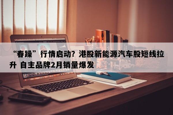 “春躁”行情启动？港股新能源汽车股短线拉升 自主品牌2月销量爆发