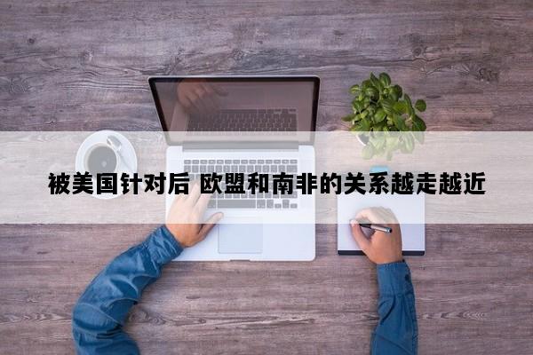 被美国针对后 欧盟和南非的关系越走越近