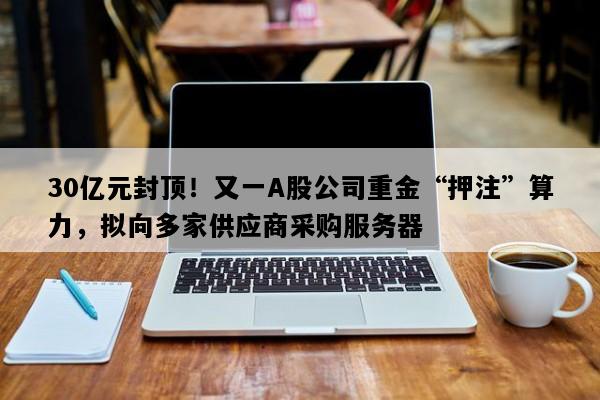 30亿元封顶！又一A股公司重金“押注”算力，拟向多家供应商采购服务器