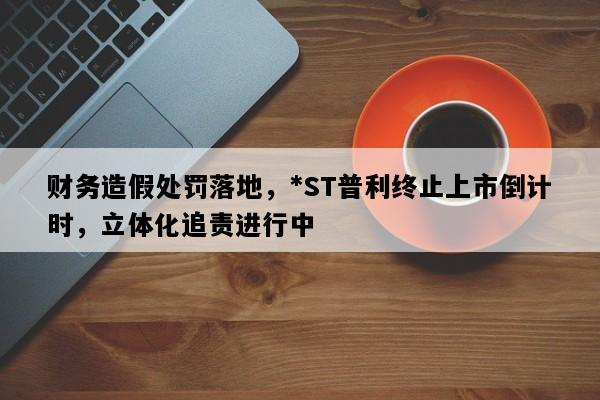 财务造假处罚落地，*ST普利终止上市倒计时，立体化追责进行中