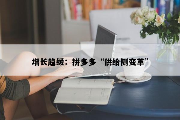 增长趋缓：拼多多“供给侧变革”
