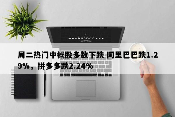 周二热门中概股多数下跌 阿里巴巴跌1.29%，拼多多跌2.24%