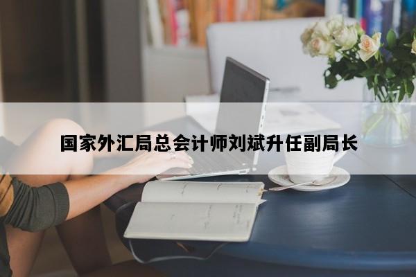 国家外汇局总会计师刘斌升任副局长
