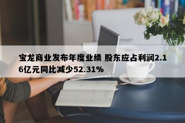 宝龙商业发布年度业绩 股东应占利润2.16亿元同比减少52.31%