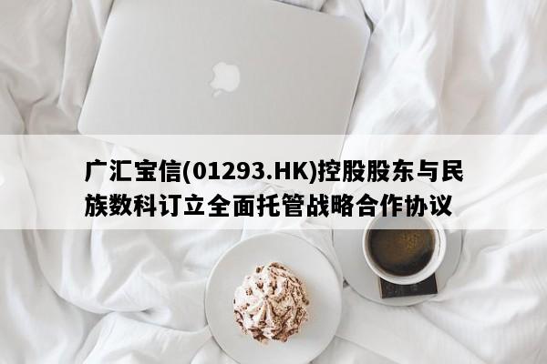 广汇宝信(01293.HK)控股股东与民族数科订立全面托管战略合作协议