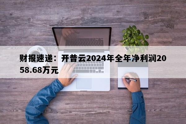 财报速递：开普云2024年全年净利润2058.68万元