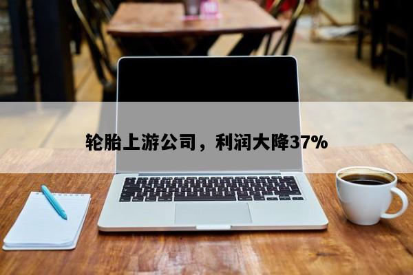轮胎上游公司，利润大降37%