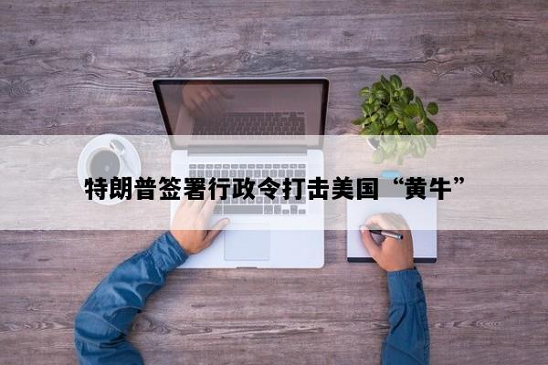 特朗普签署行政令打击美国“黄牛”