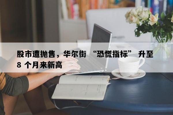 股市遭抛售，华尔街 “恐慌指标” 升至 8 个月来新高