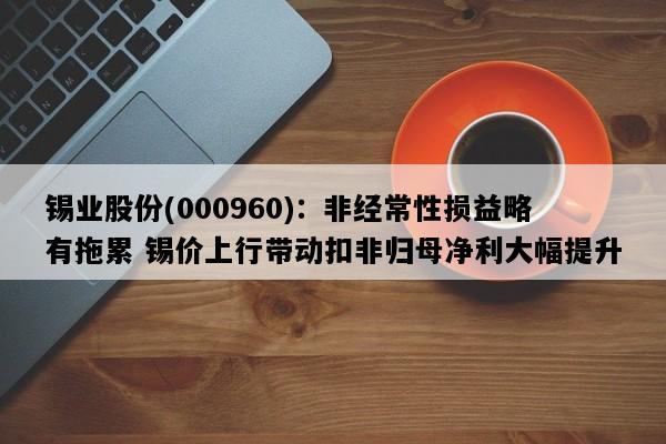 锡业股份(000960)：非经常性损益略有拖累 锡价上行带动扣非归母净利大幅提升
