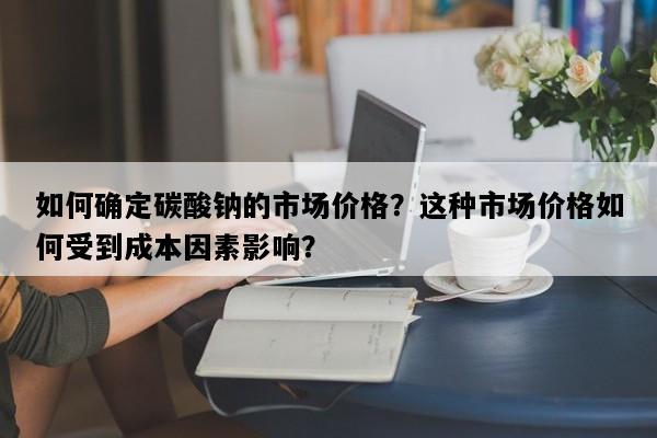 如何确定碳酸钠的市场价格？这种市场价格如何受到成本因素影响？
