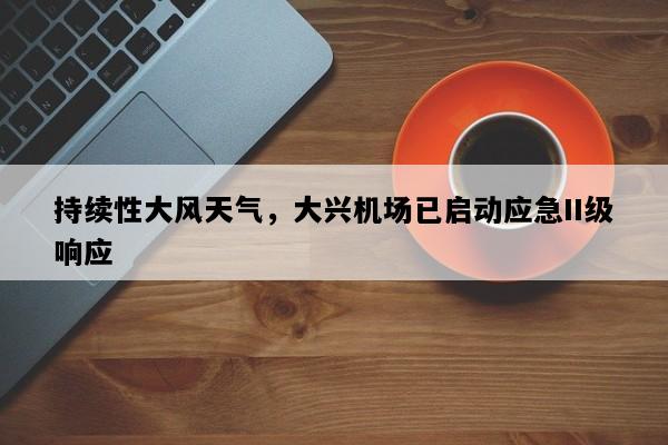 持续性大风天气，大兴机场已启动应急II级响应