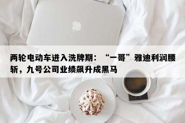 两轮电动车进入洗牌期：“一哥”雅迪利润腰斩，九号公司业绩飙升成黑马
