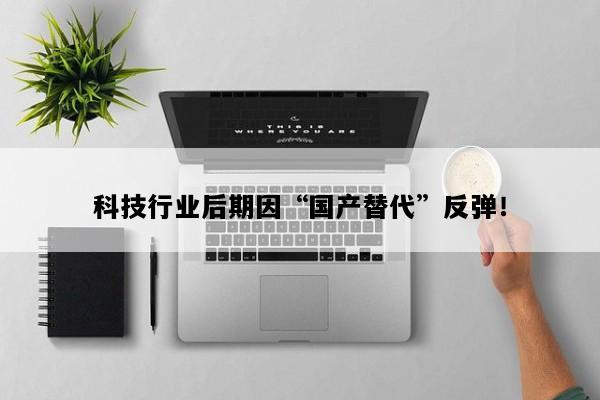 科技行业后期因“国产替代”反弹！