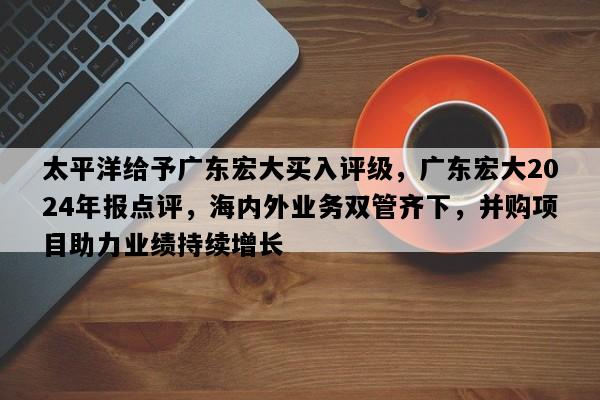 太平洋给予广东宏大买入评级，广东宏大2024年报点评，海内外业务双管齐下，并购项目助力业绩持续增长