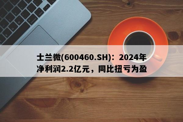 士兰微(600460.SH)：2024年净利润2.2亿元，同比扭亏为盈