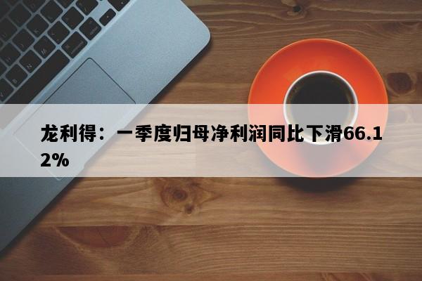 龙利得：一季度归母净利润同比下滑66.12%