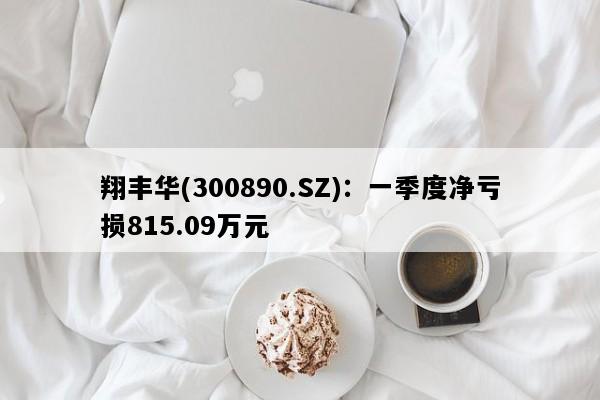 翔丰华(300890.SZ)：一季度净亏损815.09万元