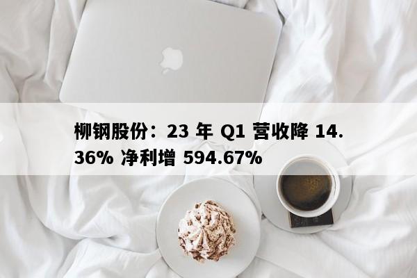 柳钢股份：23 年 Q1 营收降 14.36% 净利增 594.67%