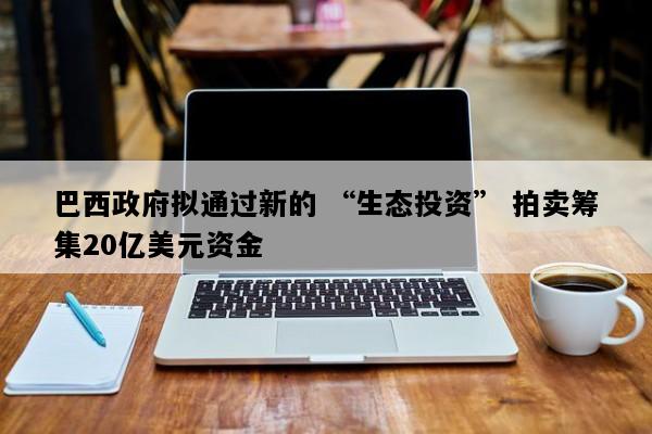 巴西政府拟通过新的 “生态投资” 拍卖筹集20亿美元资金