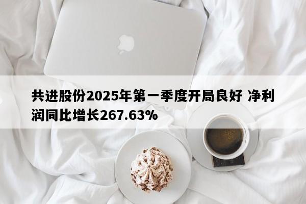 共进股份2025年第一季度开局良好 净利润同比增长267.63%