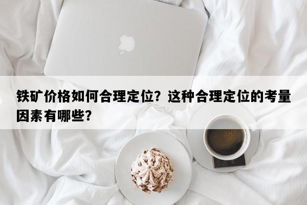 铁矿价格如何合理定位？这种合理定位的考量因素有哪些？