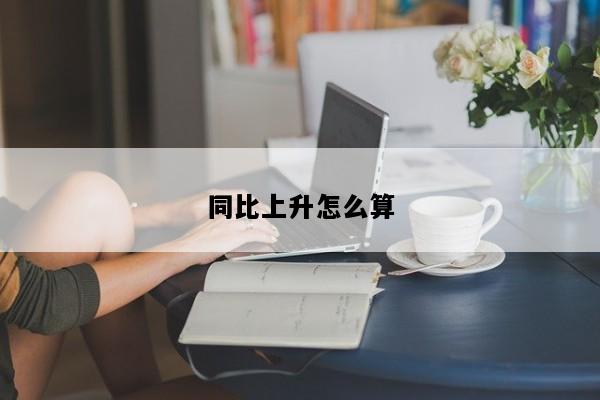 同比上升怎么算