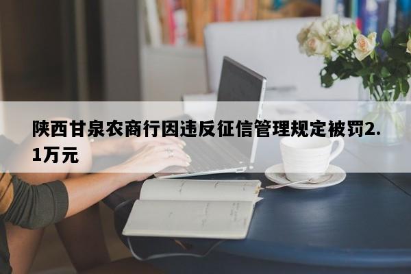 陕西甘泉农商行因违反征信管理规定被罚2.1万元