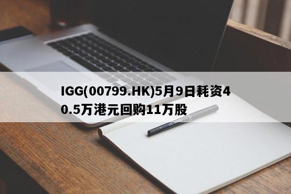 IGG(00799.HK)5月9日耗资40.5万港元回购11万股