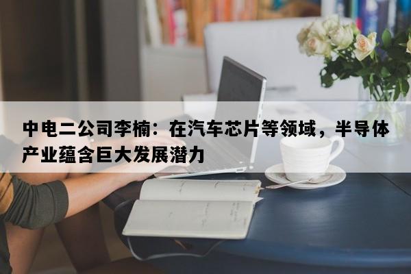 中电二公司李楠：在汽车芯片等领域，半导体产业蕴含巨大发展潜力
