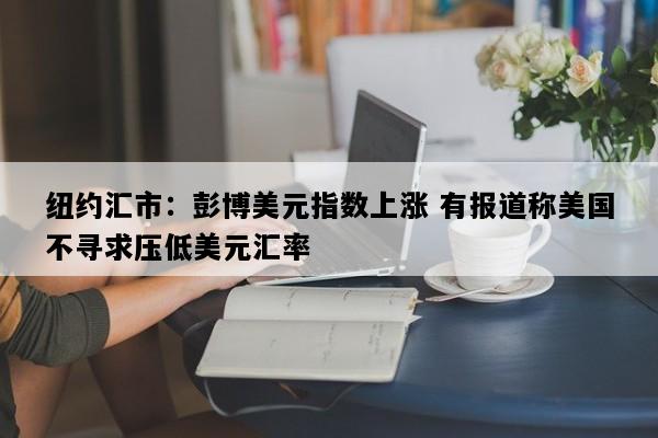 纽约汇市：彭博美元指数上涨 有报道称美国不寻求压低美元汇率