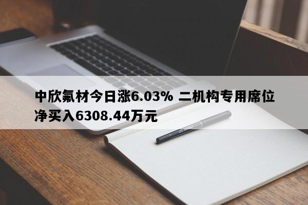 中欣氟材今日涨6.03% 二机构专用席位净买入6308.44万元