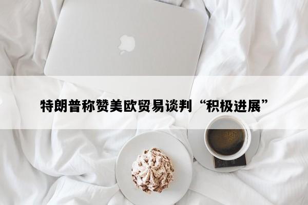 特朗普称赞美欧贸易谈判“积极进展”