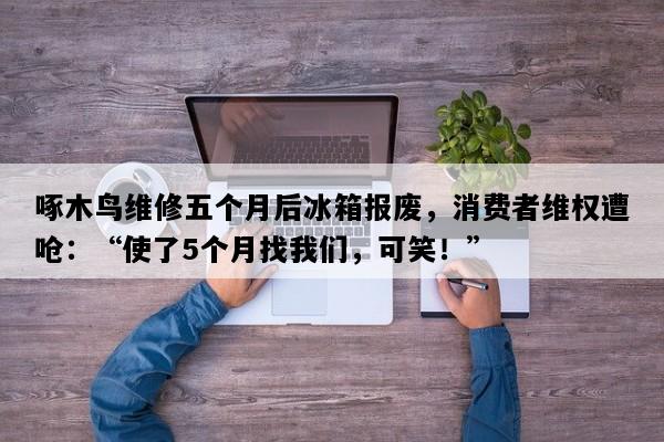 啄木鸟维修五个月后冰箱报废，消费者维权遭呛：“使了5个月找我们，可笑！”