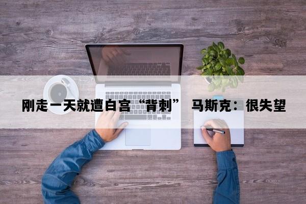 刚走一天就遭白宫“背刺” 马斯克：很失望