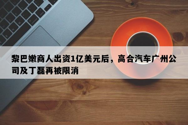 黎巴嫩商人出资1亿美元后，高合汽车广州公司及丁磊再被限消