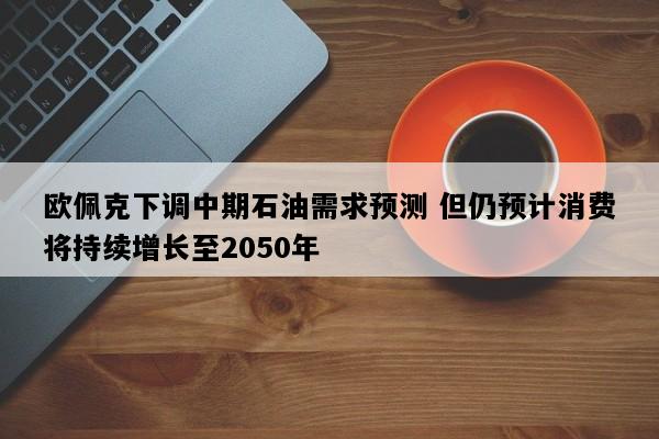 欧佩克下调中期石油需求预测 但仍预计消费将持续增长至2050年