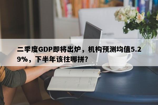 二季度GDP即将出炉，机构预测均值5.29%，下半年该往哪拼？