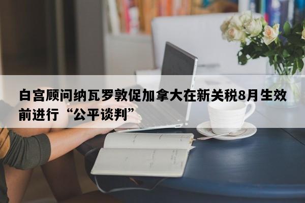 白宫顾问纳瓦罗敦促加拿大在新关税8月生效前进行“公平谈判”