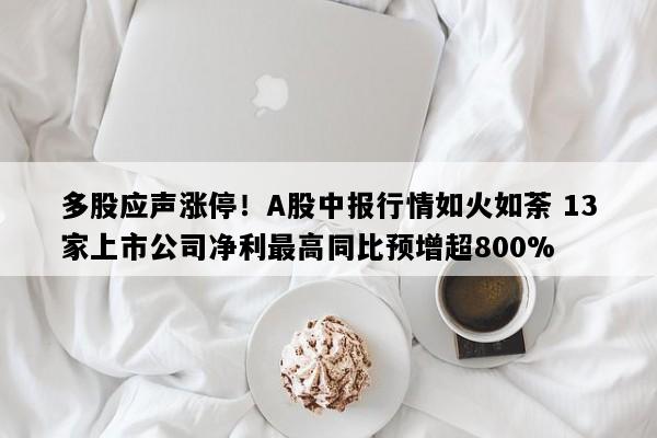 多股应声涨停！A股中报行情如火如荼 13家上市公司净利最高同比预增超800%