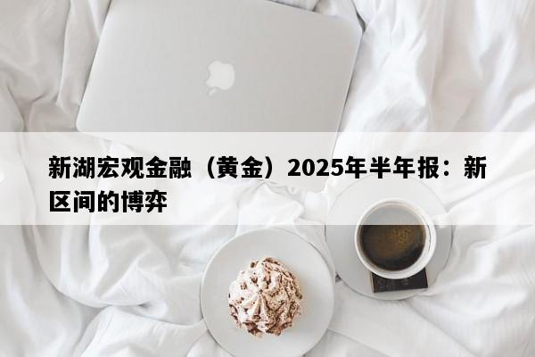 新湖宏观金融（黄金）2025年半年报：新区间的博弈