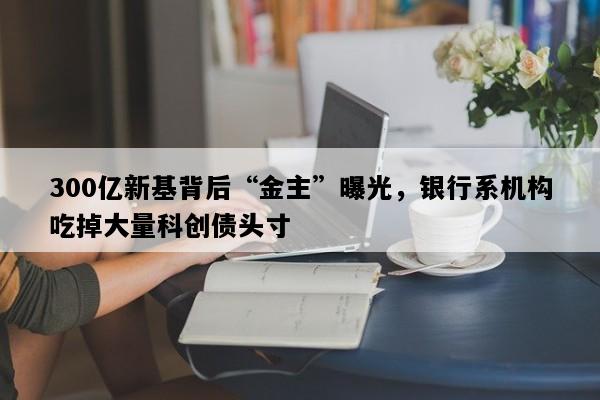 300亿新基背后“金主”曝光，银行系机构吃掉大量科创债头寸